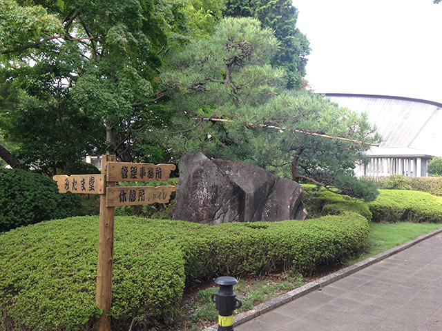 都立 多磨霊園