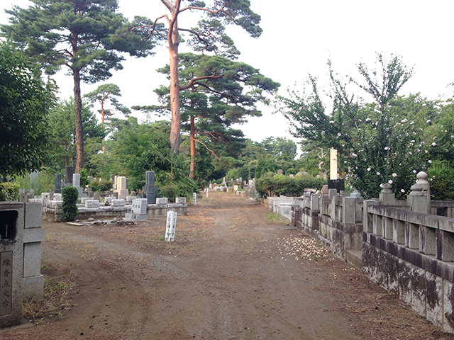 都立 多磨霊園
