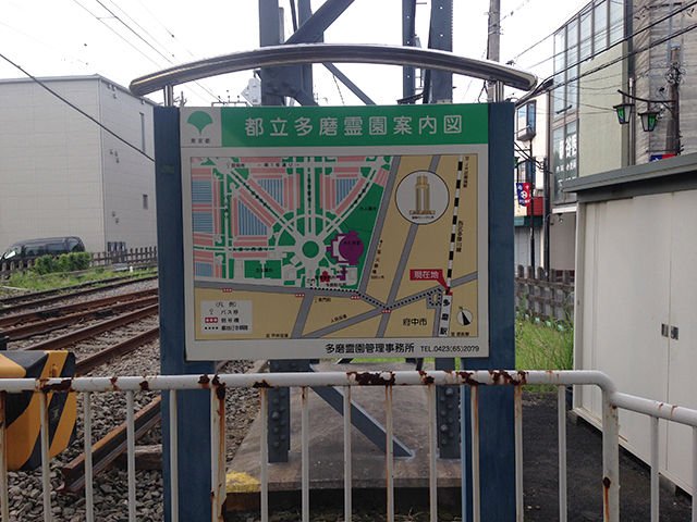 都立 多磨霊園