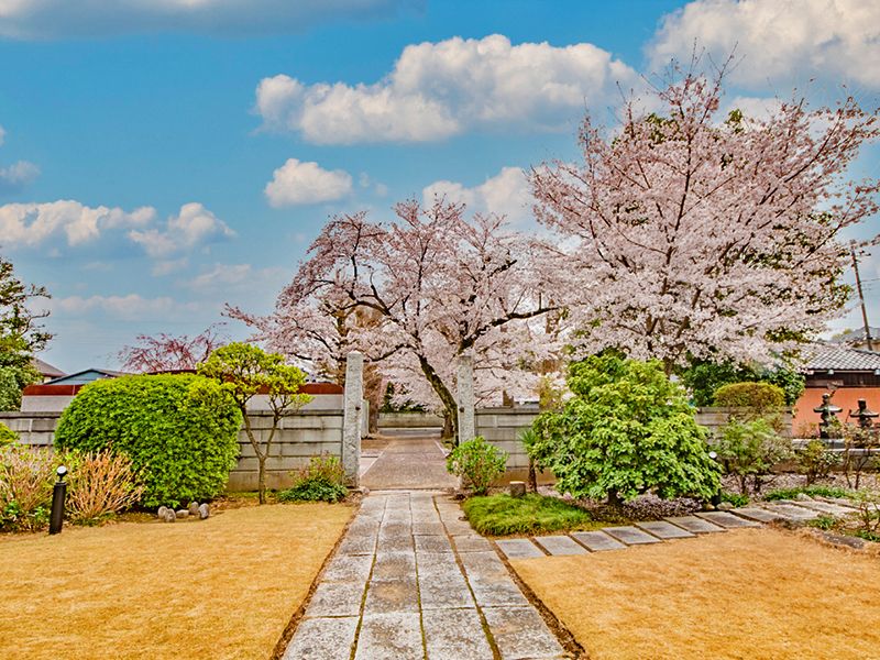 放光寺 永代供養墓・樹木葬