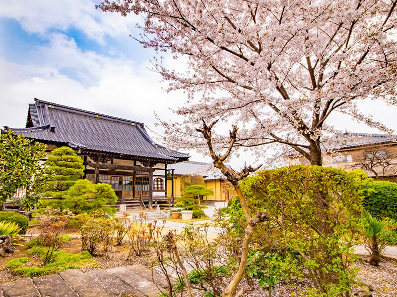 放光寺 永代供養墓・樹木葬