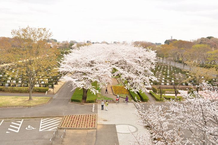 さいたま市営霊園 思い出の里　多くの草花に囲まれた芝生墓地