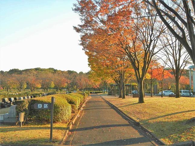 さいたま市営霊園 思い出の里　一般墓所9区