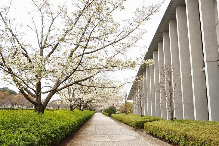 さいたま市営霊園 思い出の里　広く平坦な参道