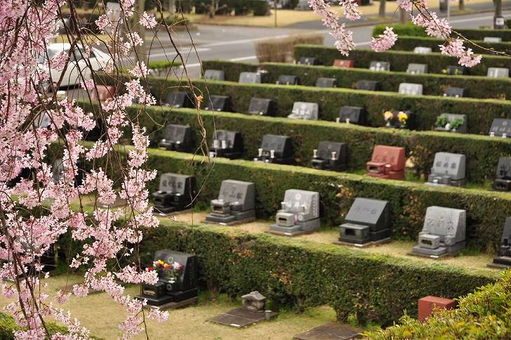さいたま市営霊園 思い出の里　桜と芝生墓地