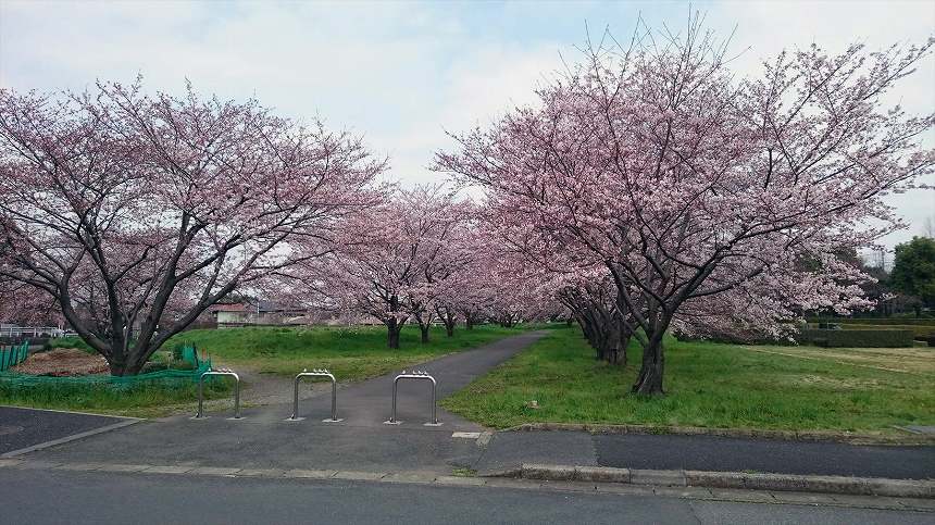 さいたま市営霊園 思い出の里　自然豊かな公園墓地