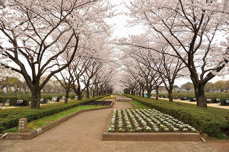 さいたま市営霊園 思い出の里　大型公園墓地の様子