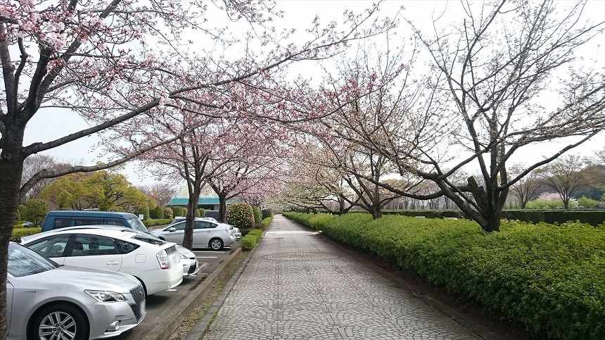 さいたま市営霊園 思い出の里　園内駐車スペース