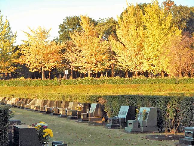 さいたま市営霊園 思い出の里　紅葉が美しい芝生墓地