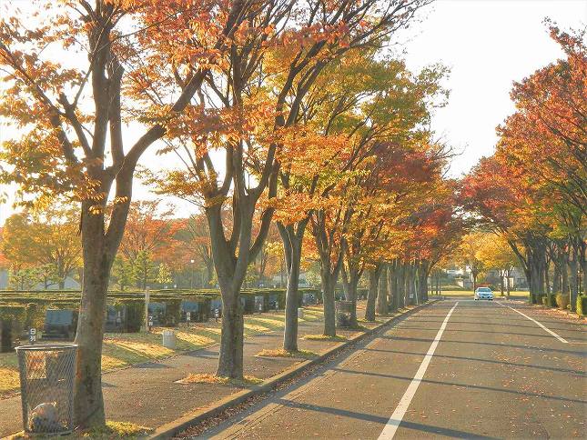 さいたま市営霊園 思い出の里　四季折々の自然が楽しめる園内