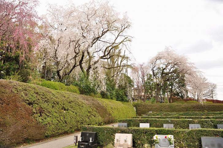 さいたま市営霊園 思い出の里　草花に癒される開放的な空間