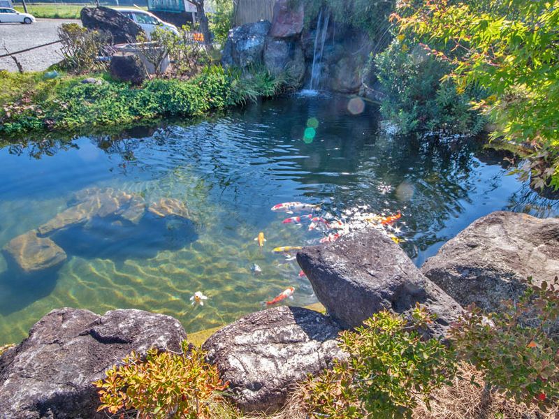 池のある庭園