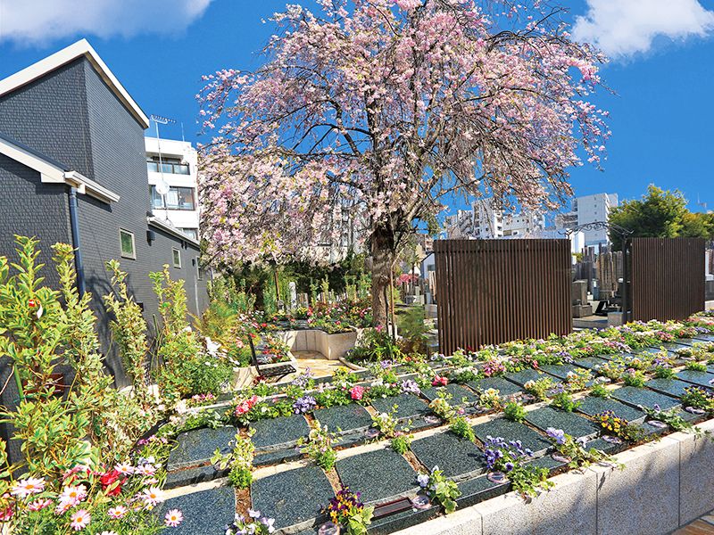 宗参寺 樹木葬 結いの桜・優美の舞