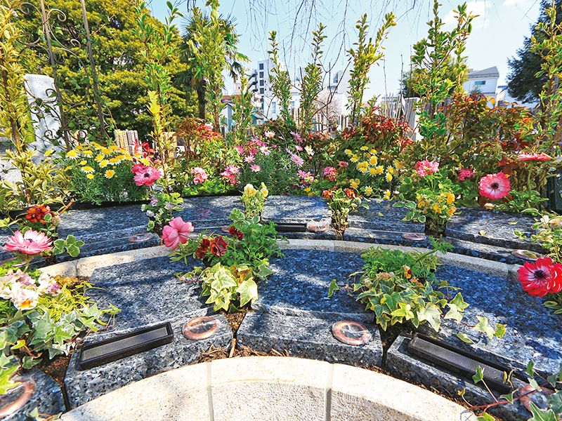 宗参寺 樹木葬 結いの桜・優美の舞