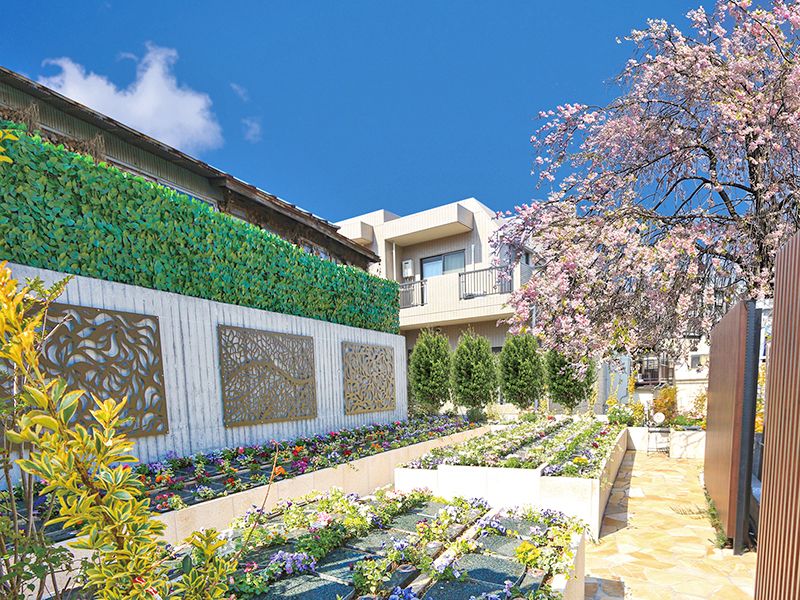 宗参寺 樹木葬 結いの桜・優美の舞