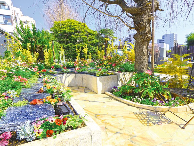 宗参寺 樹木葬 結いの桜・優美の舞