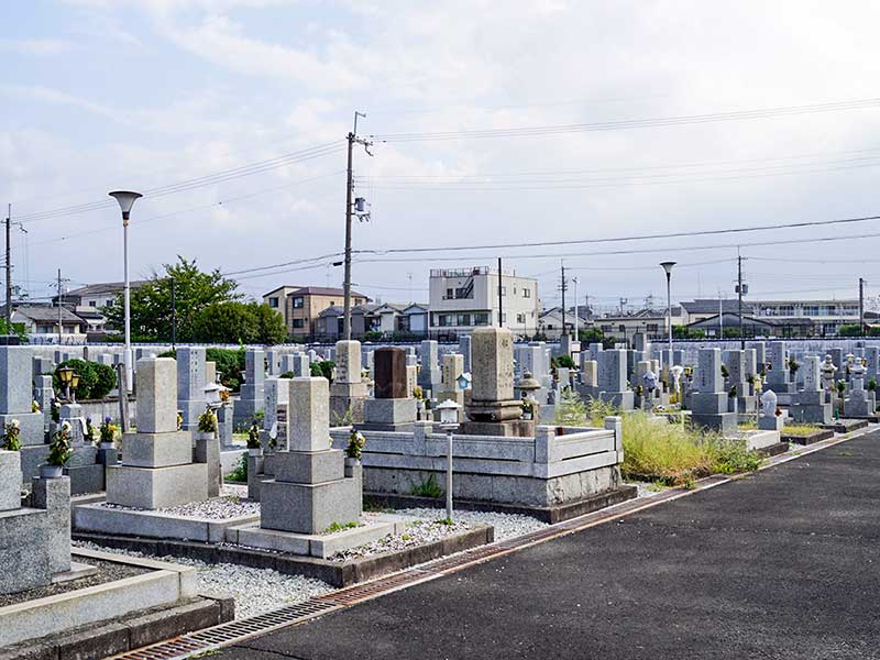 八尾市立 安中墓地　整備された区画