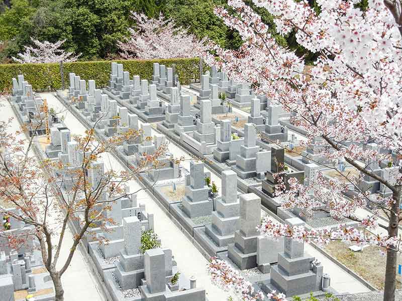 南大阪霊園の桜が綺麗な墓域