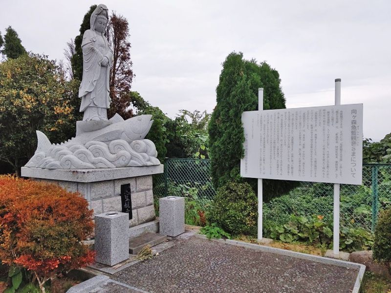 向ケ森共蔡墓地