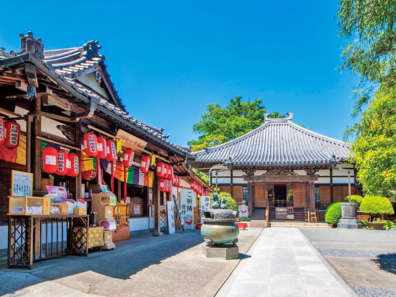 観音院 永代供養墓・樹木葬