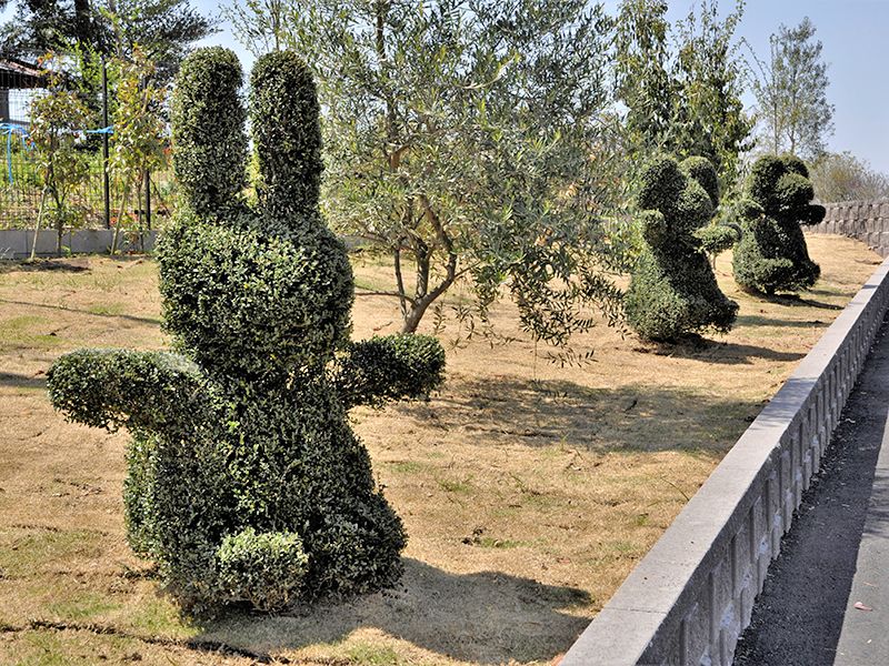 彩の国フォーシーズンメモリアル ラ・テール