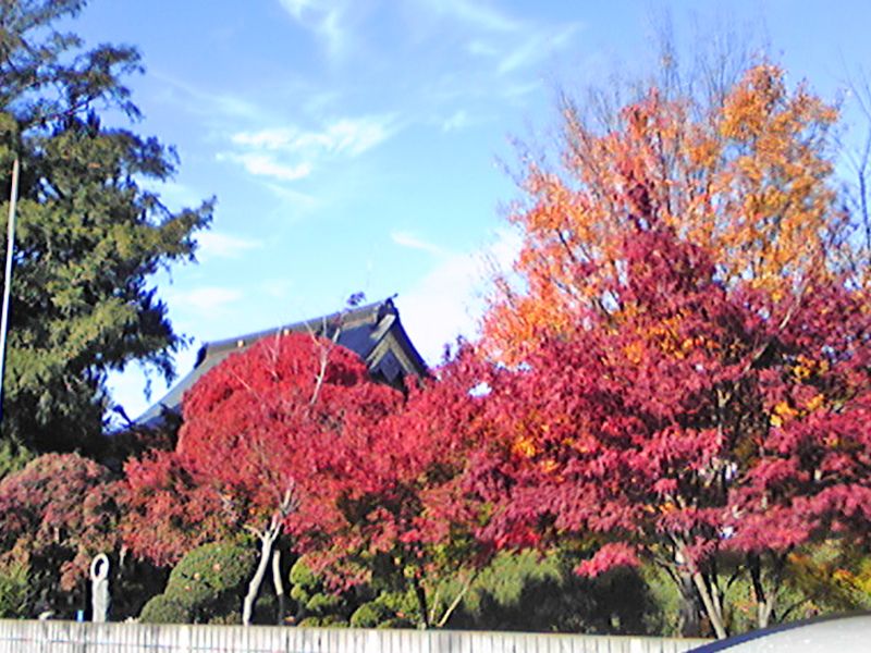 勝林寺