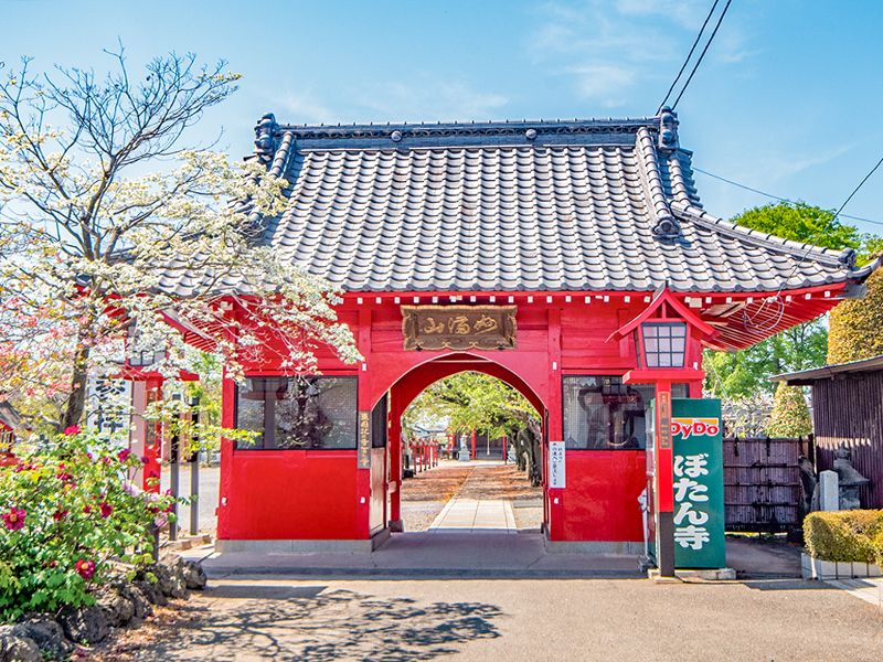 大慶寺 永代供養墓・樹木葬