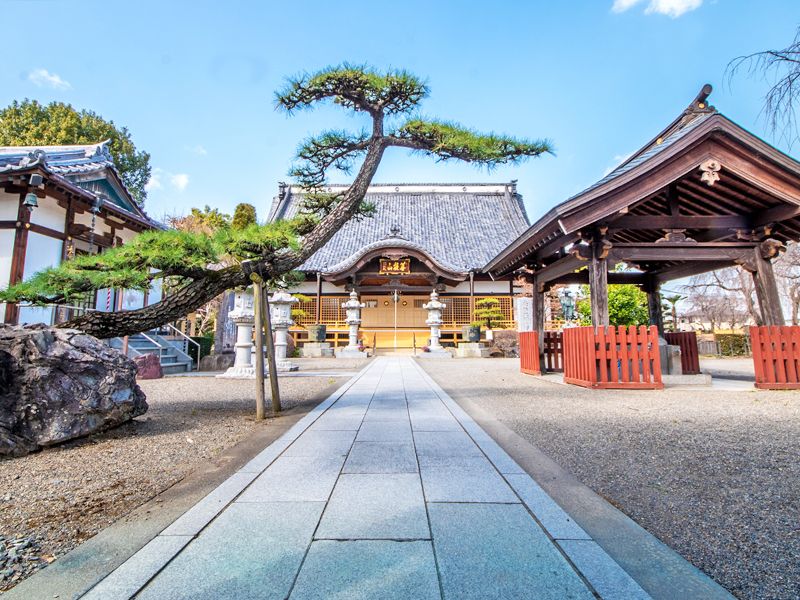 寺院の参道と本堂