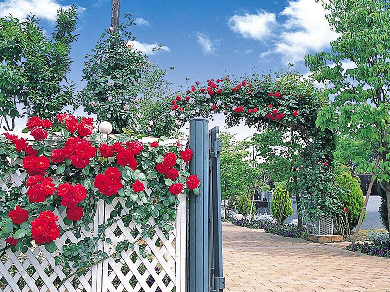 小平メモリアルガーデン