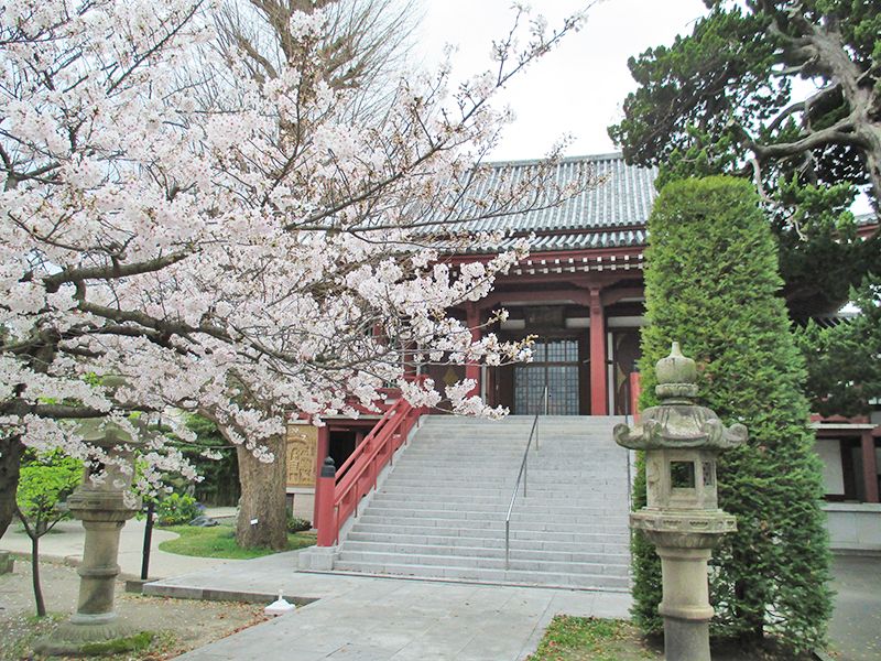 横須賀市久里浜 樹木葬永久の郷