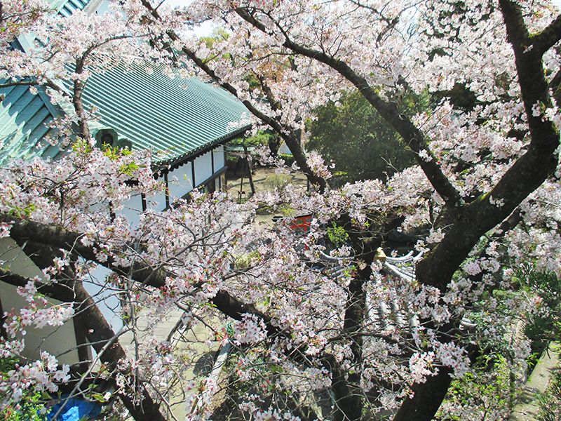 徳恩寺