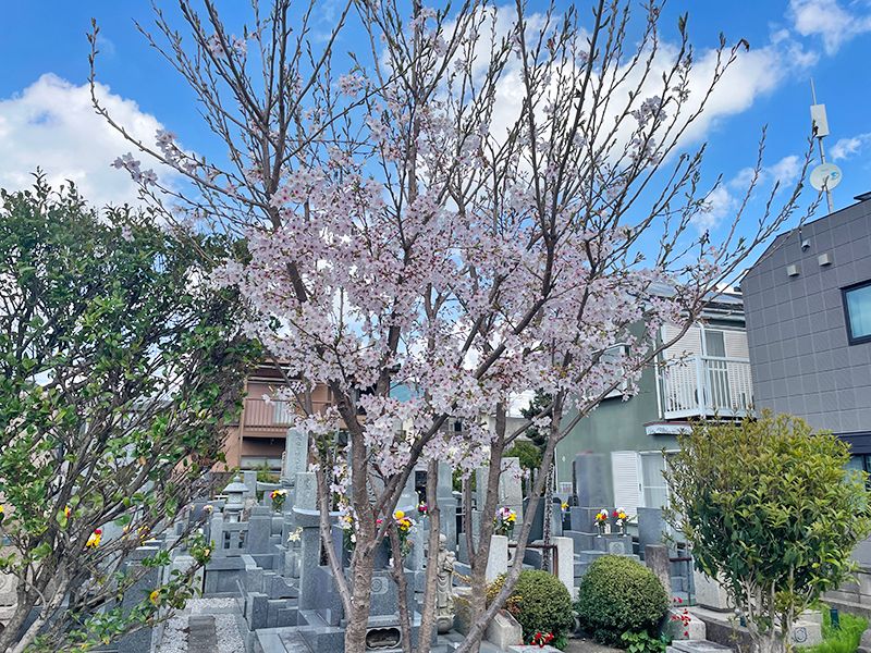 香岩寺 のうこつぼ