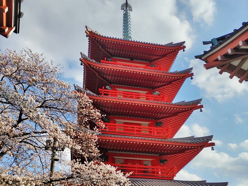 天海山 雲龍寺 光明霊園