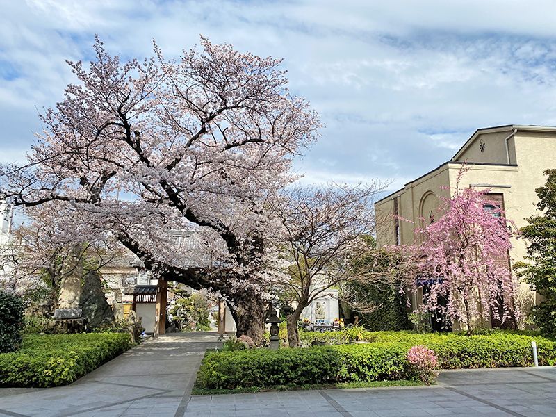 安養院 ひかり陵苑 ひかりの園