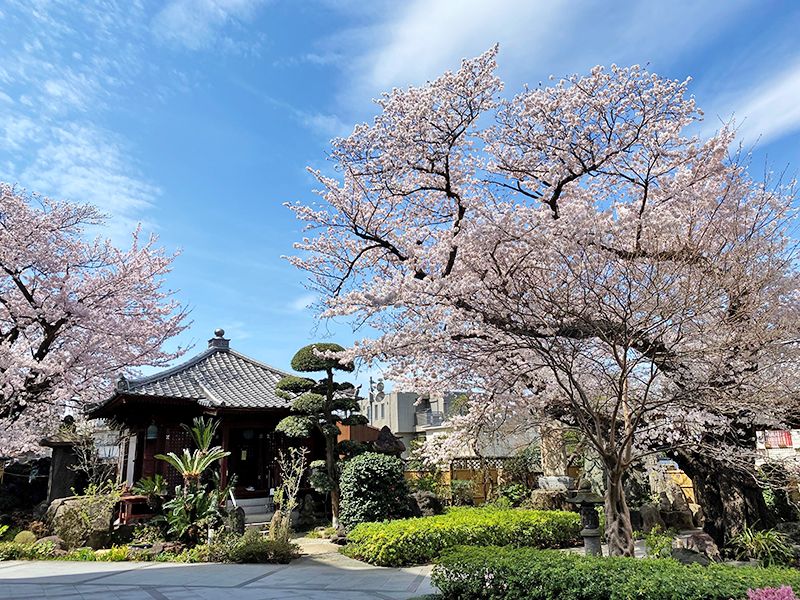 季節の風景