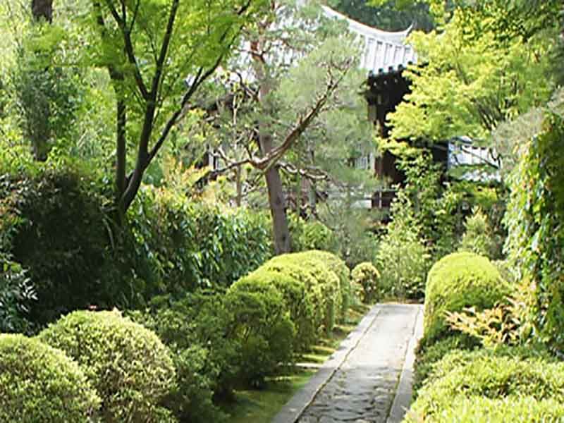 大本山大徳寺塔頭 正受院
