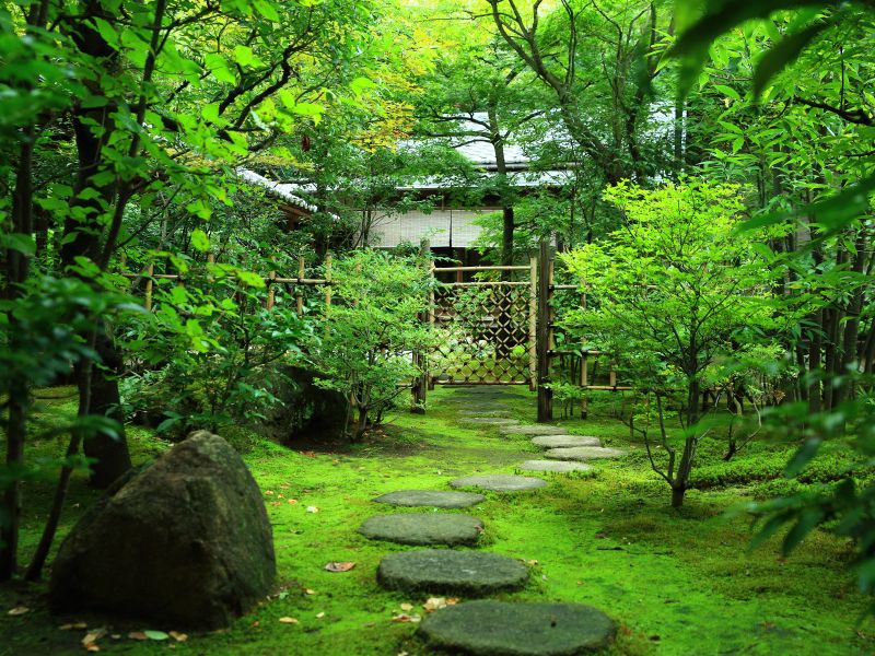 広尾の杜