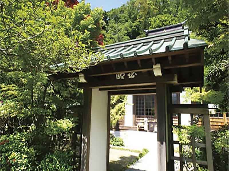 龍峰院　緑豊かな境内の様子