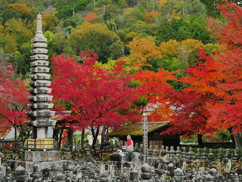 あだし野 念仏寺墓地