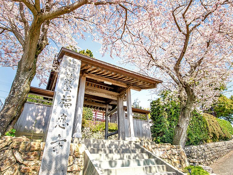 福応寺 のうこつぼ