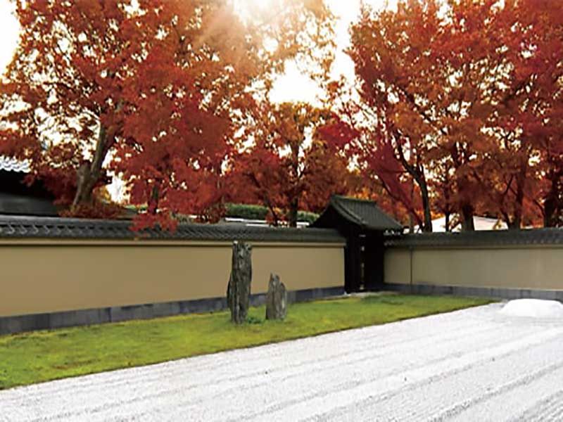 大本山大徳寺塔頭 黄梅院