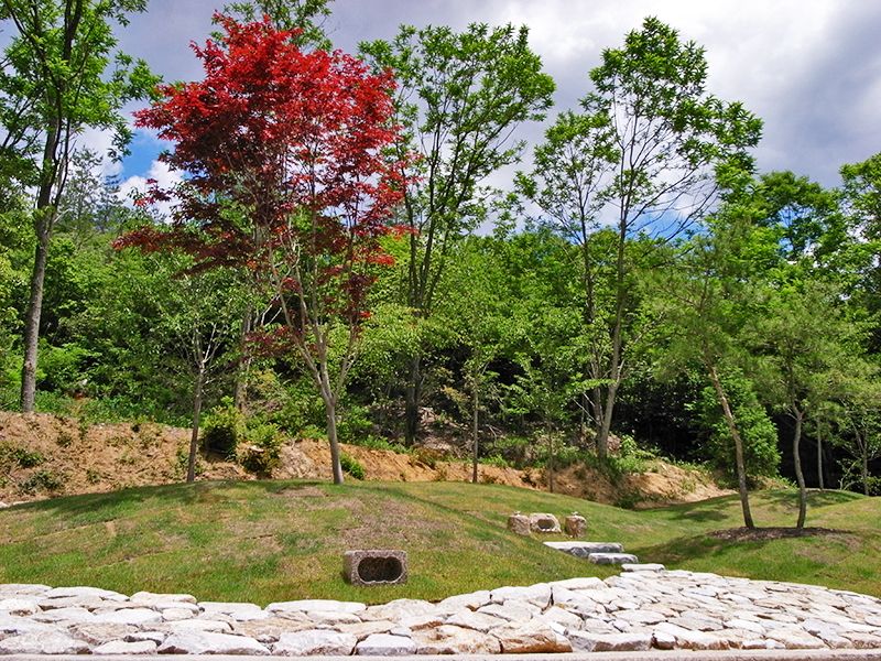 「森の樹木葬」web限定送骨専門森林葬