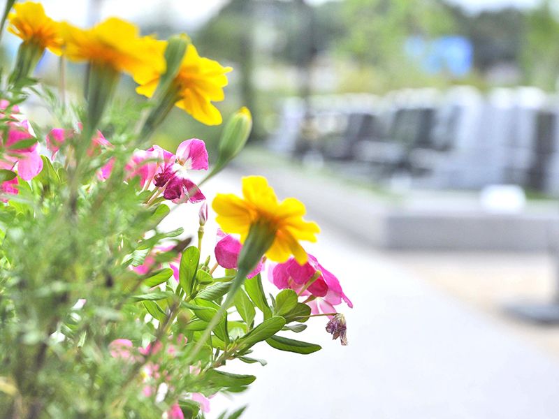 蓮田聖地霊園