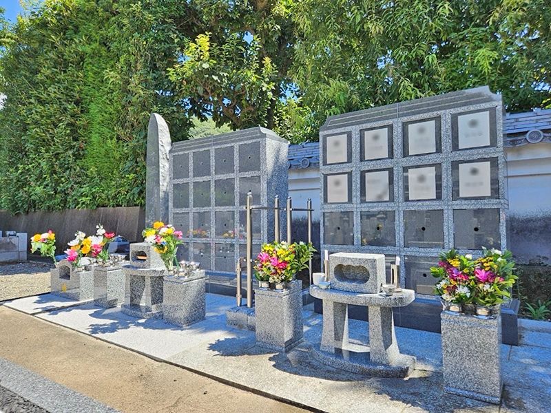 天澤院 のうこつぼ