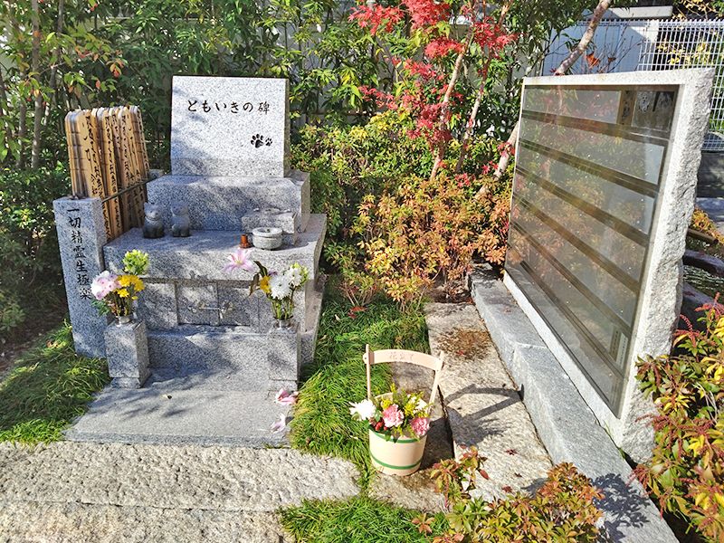 浄国寺 境内墓地