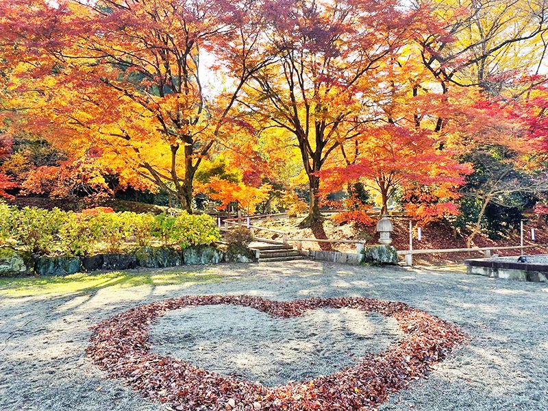 八王子高尾「光とガラスの花壇墓地」花ごころ
