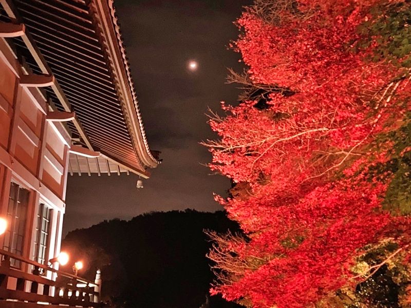 八王子高尾「光とガラスの花壇墓地」花ごころ