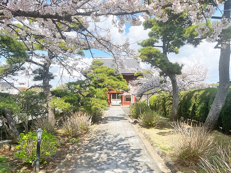 徳願寺 のうこつぼ