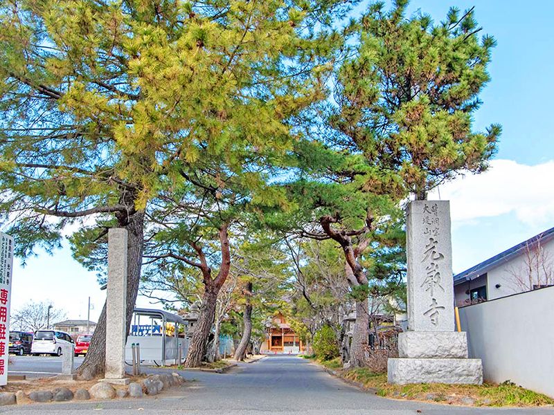 塀沿いの道路