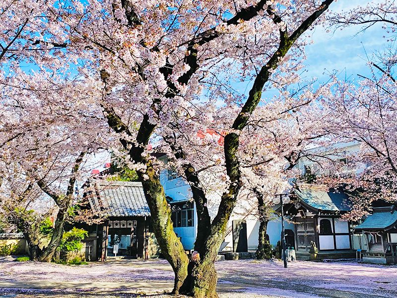 実相寺墓苑